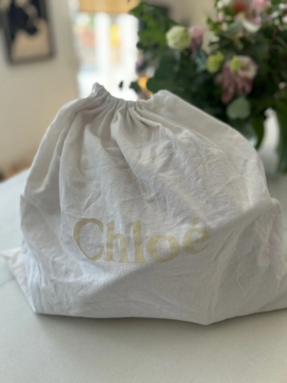Chloé Paraty Bag - Picture 12 of 12